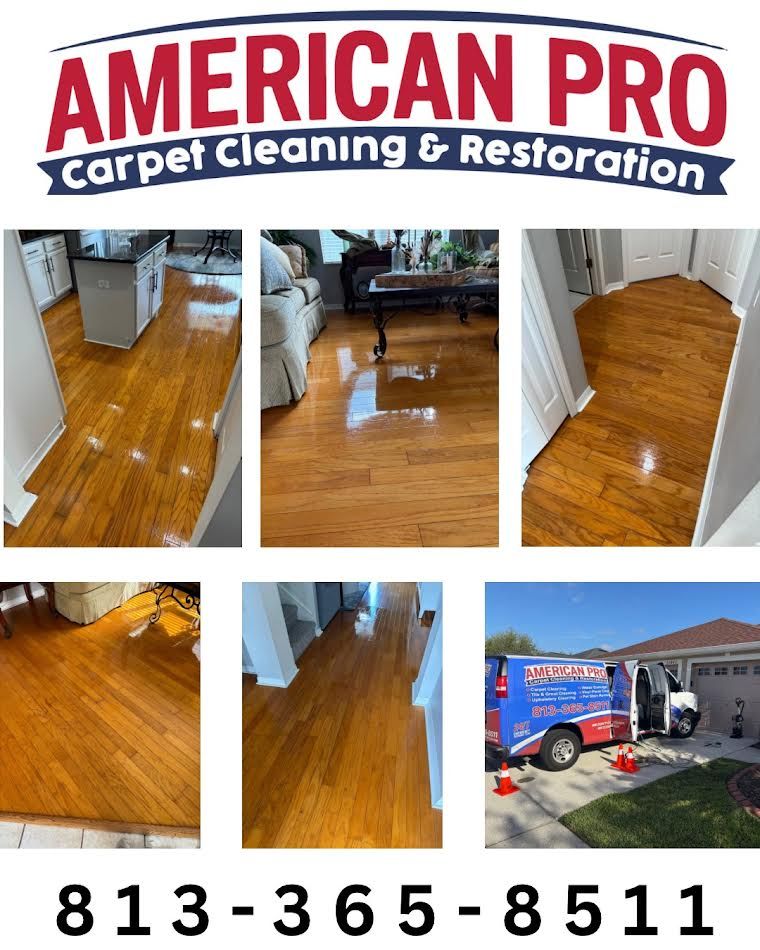 American Pro Carpet Cleaning ad. Shows shiny wooden floors. Includes phone number and cleaning van.