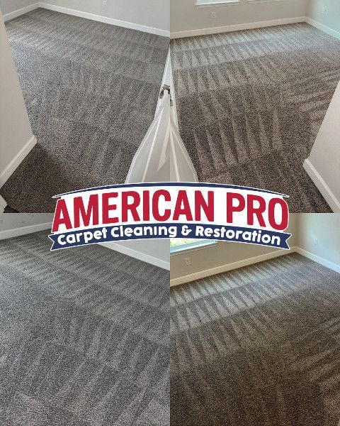 Carpet cleaning advertisement: Before/after shots show cleaned, patterned gray carpet. American Pro Carpet logo.