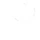 Bonitas Partners