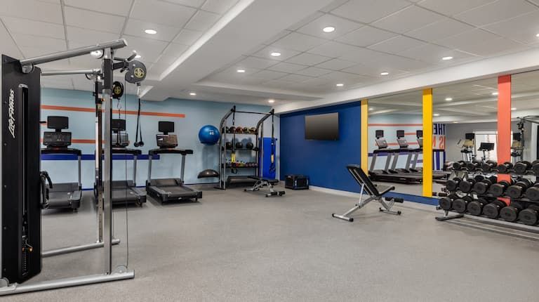 There are many different types of exercise equipment in this gym.