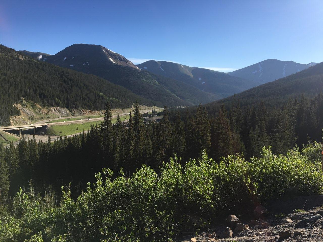 Mountains and trees in Colorado as photographed by cyclist.