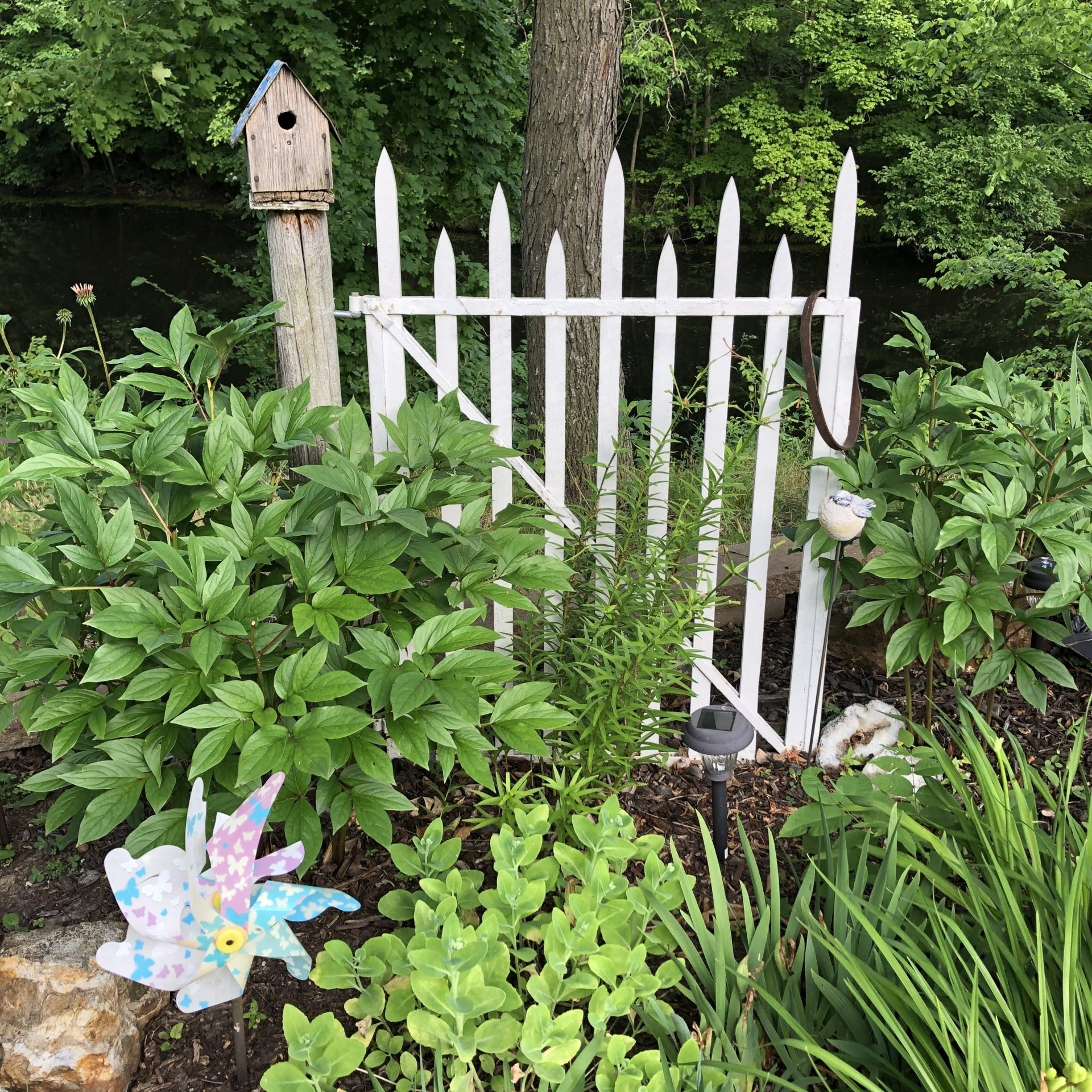 white picket fence gate