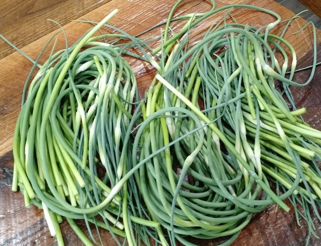 garlic scapes