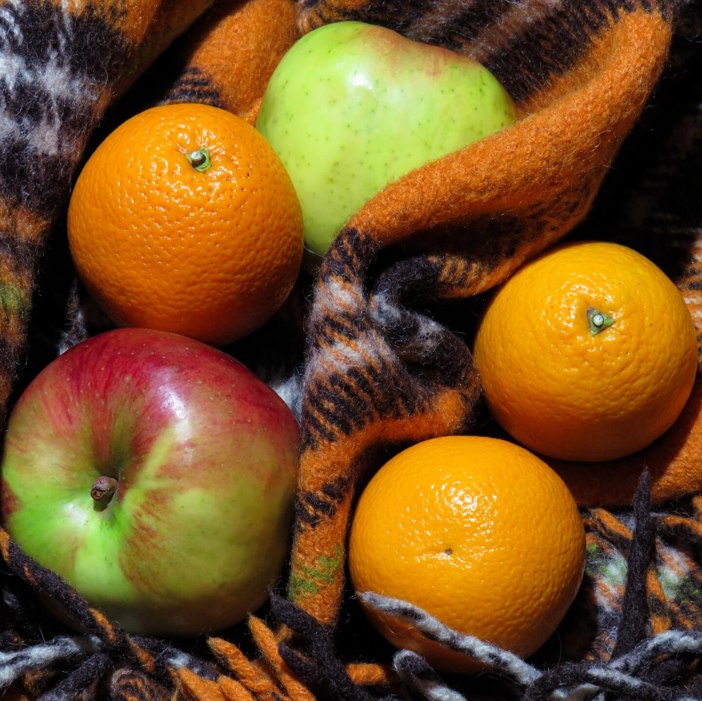 Photograph of some apples and oranges lying on tartan blanket