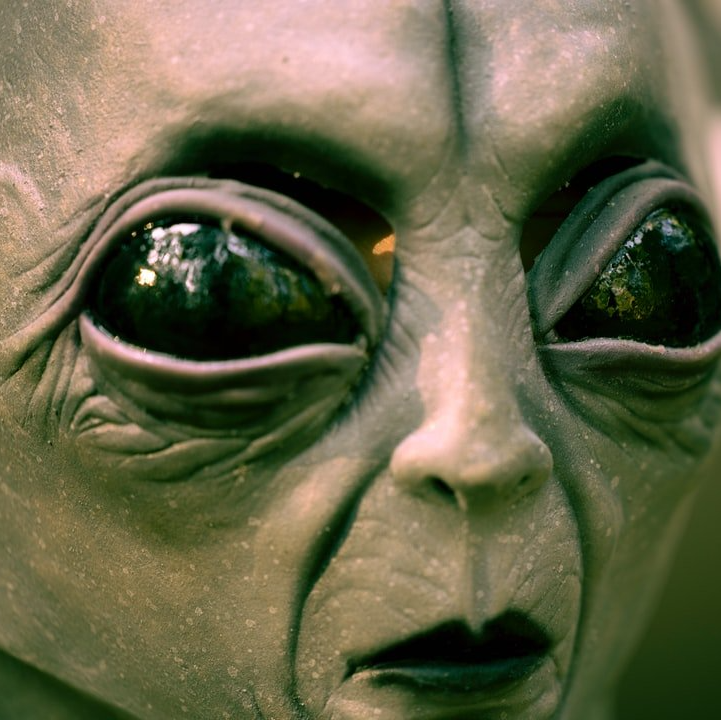 Photograph of an Alien from a film