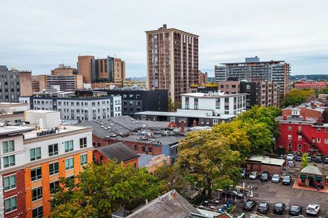 An aerial view of a city with lots of buildings and trees