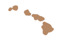 Hawaii island icon