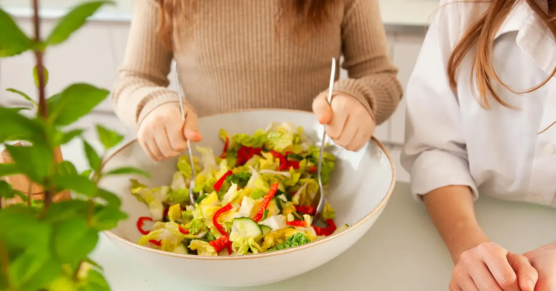 Salat zubereiten