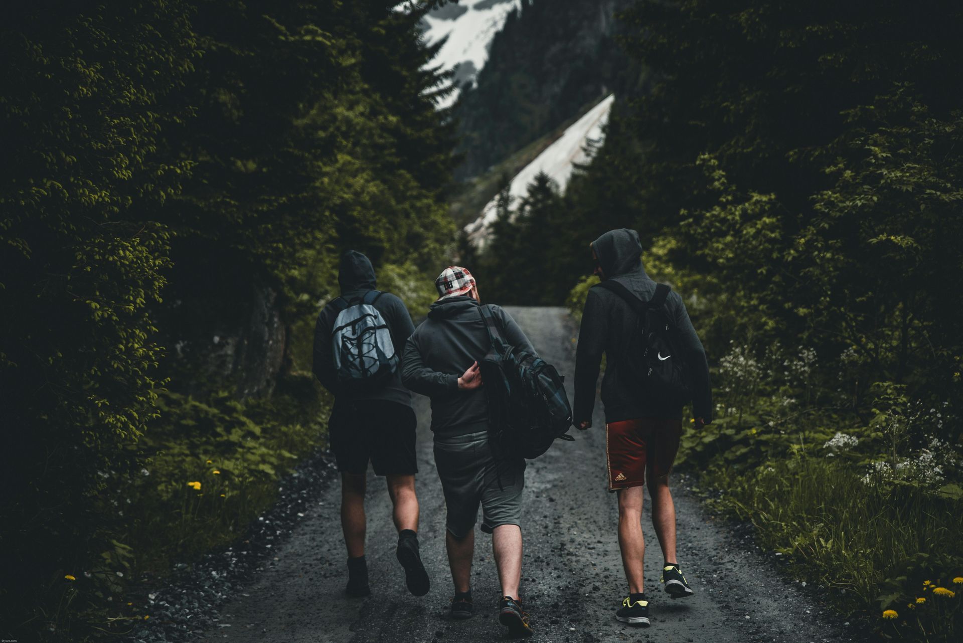 Three people walking on a gravel path toward mountains, surrounded by green trees.