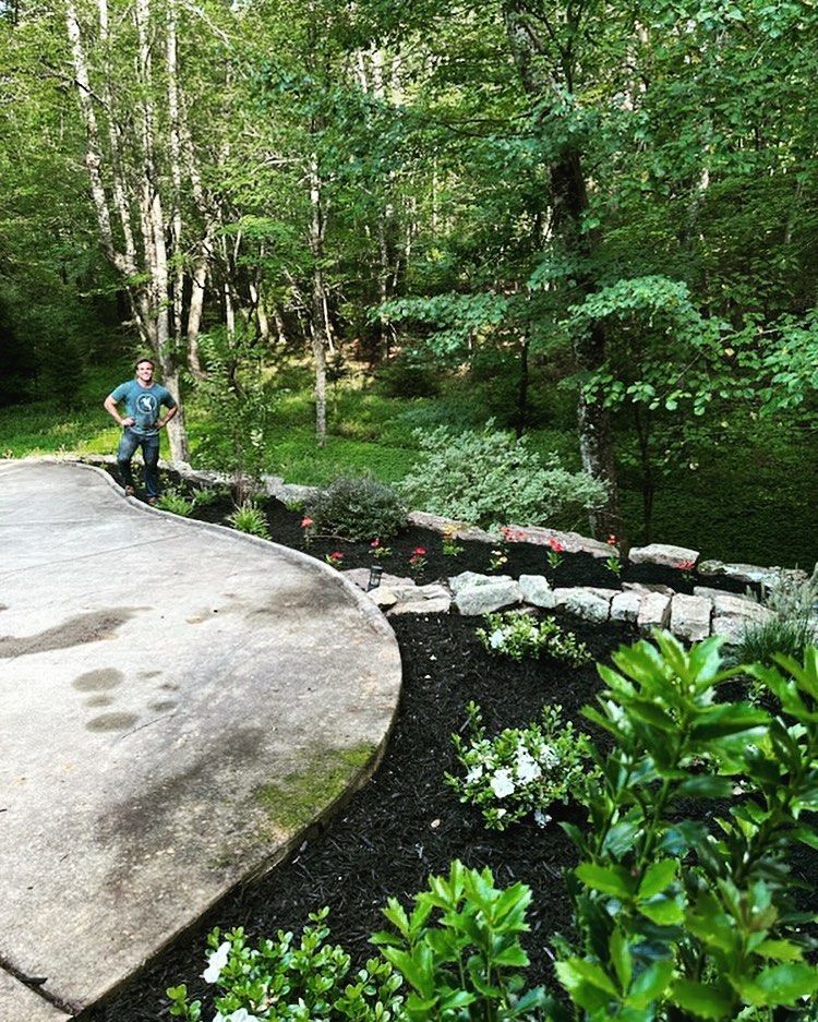 Man standing by a curved driveway next to a landscaped garden bed with mulch and plants; forest in background.