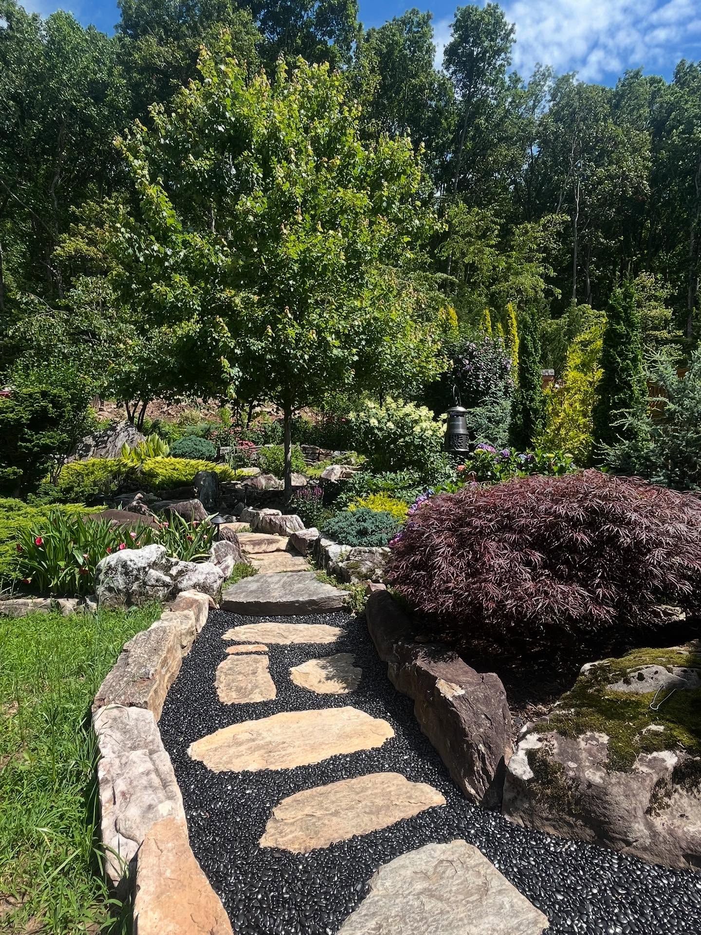 Stone path through garden with various plants, trees, and dark gravel. Lush greenery under a blue sky.