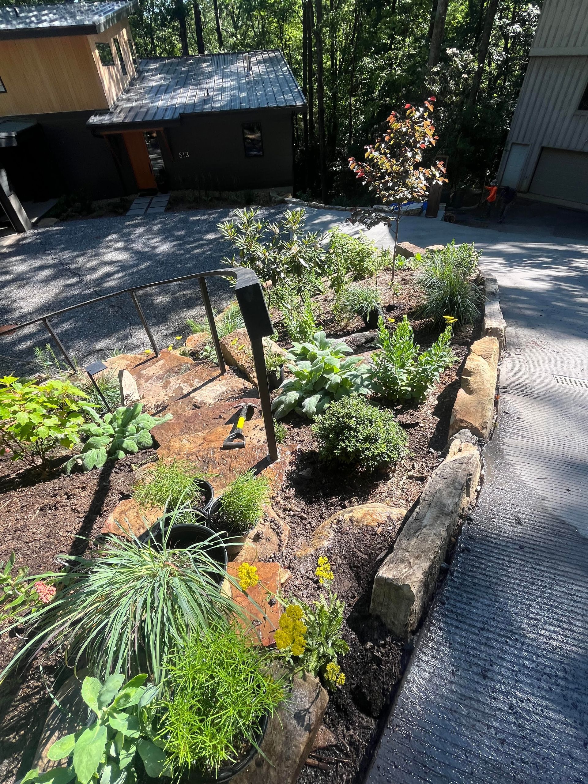 A row of trees along a gravel path leading to a building.