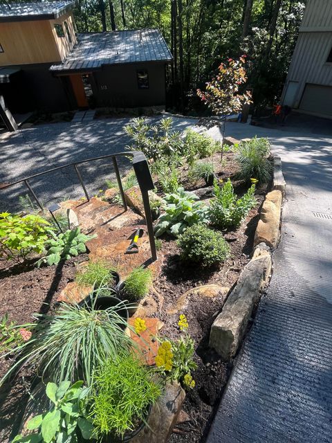 A row of trees along a gravel path leading to a building.
