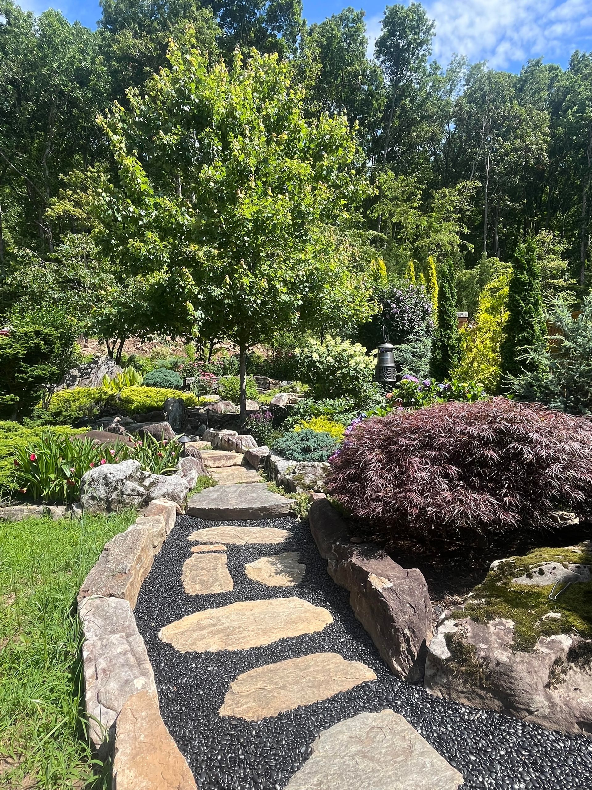 A path in a park surrounded by flowers and trees