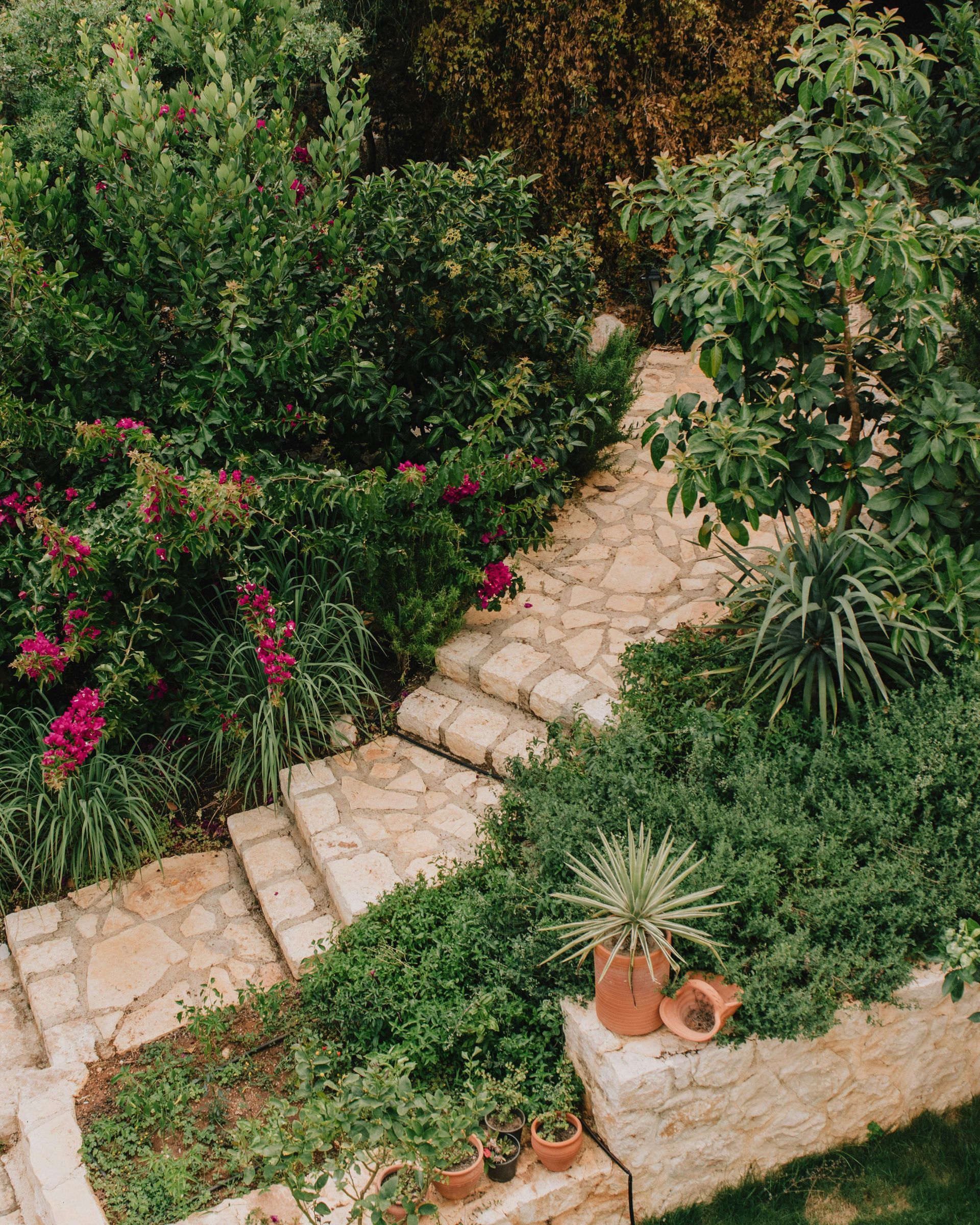 An aerial view of a garden with stairs and potted plants.