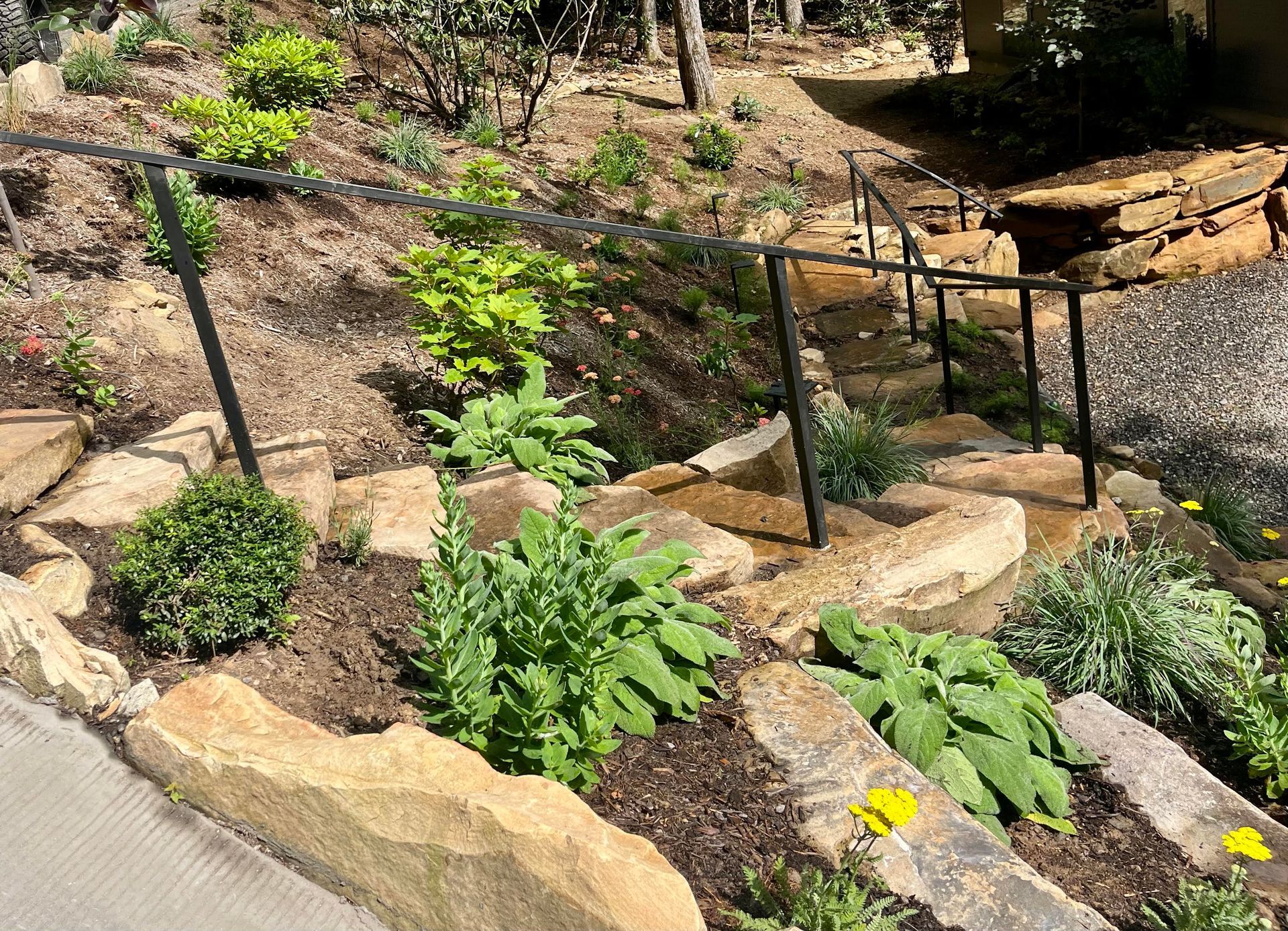 A path in the woods covered in leaves and roots.