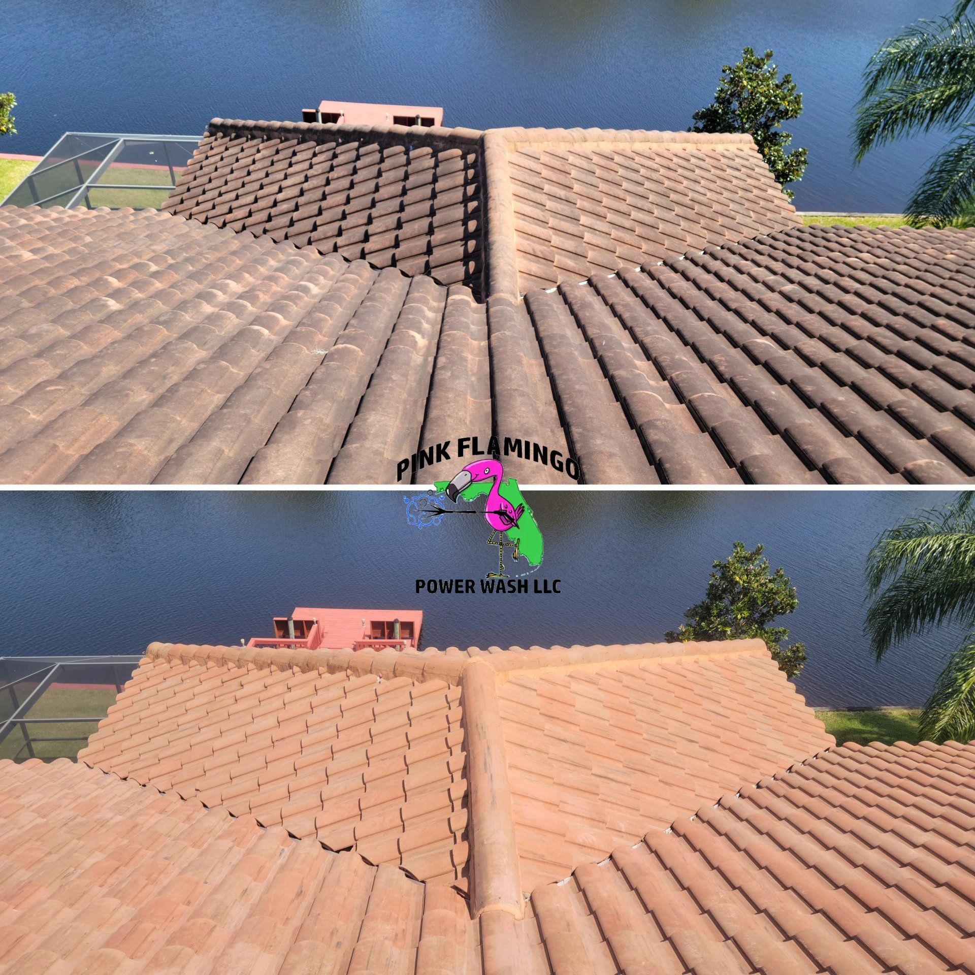 Low Pressure Roof Cleaning | Tampa, FL | Pink Flamingo Power Wash