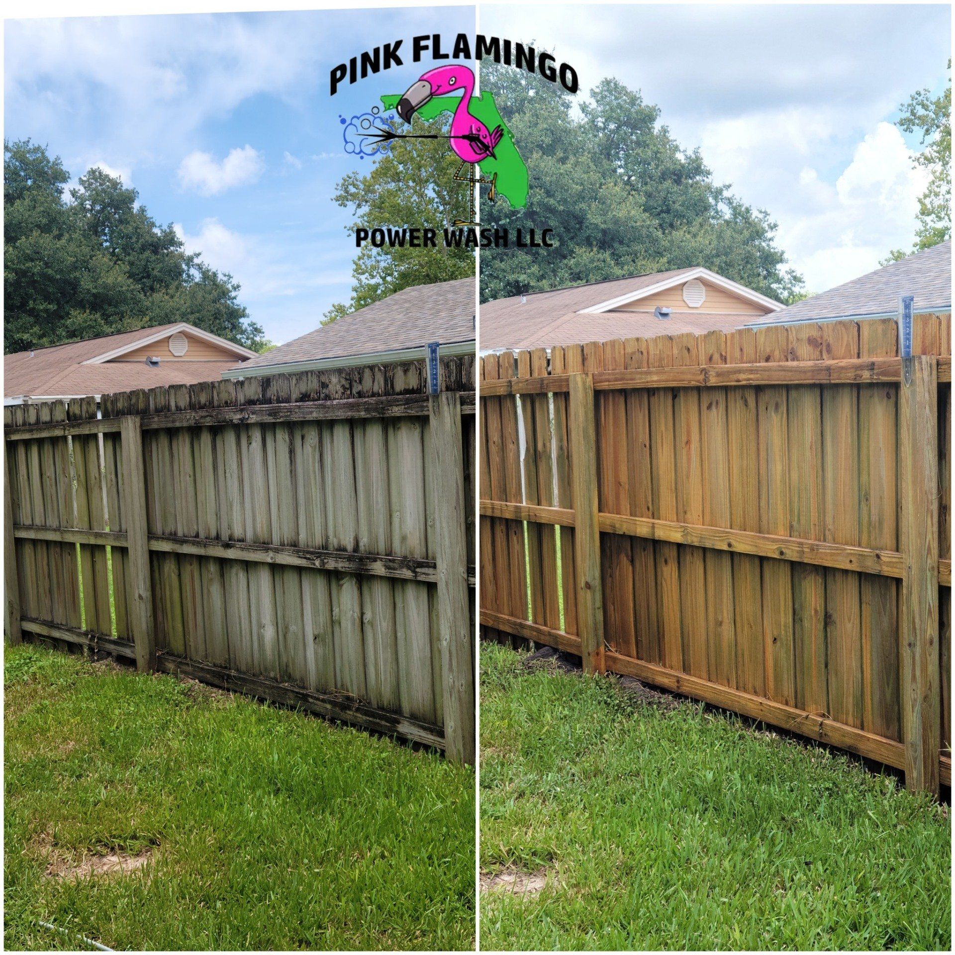 Fence cleaning | New Tampa, FL | Pink Flamingo Power Wash