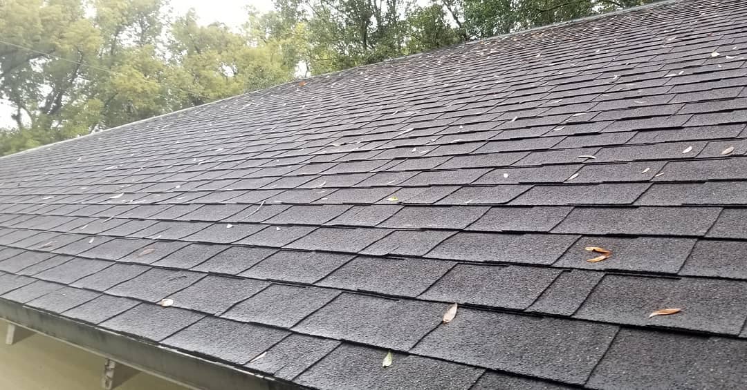 Low Pressure Roof Cleaning | Tampa, FL | Pink Flamingo Power Wash