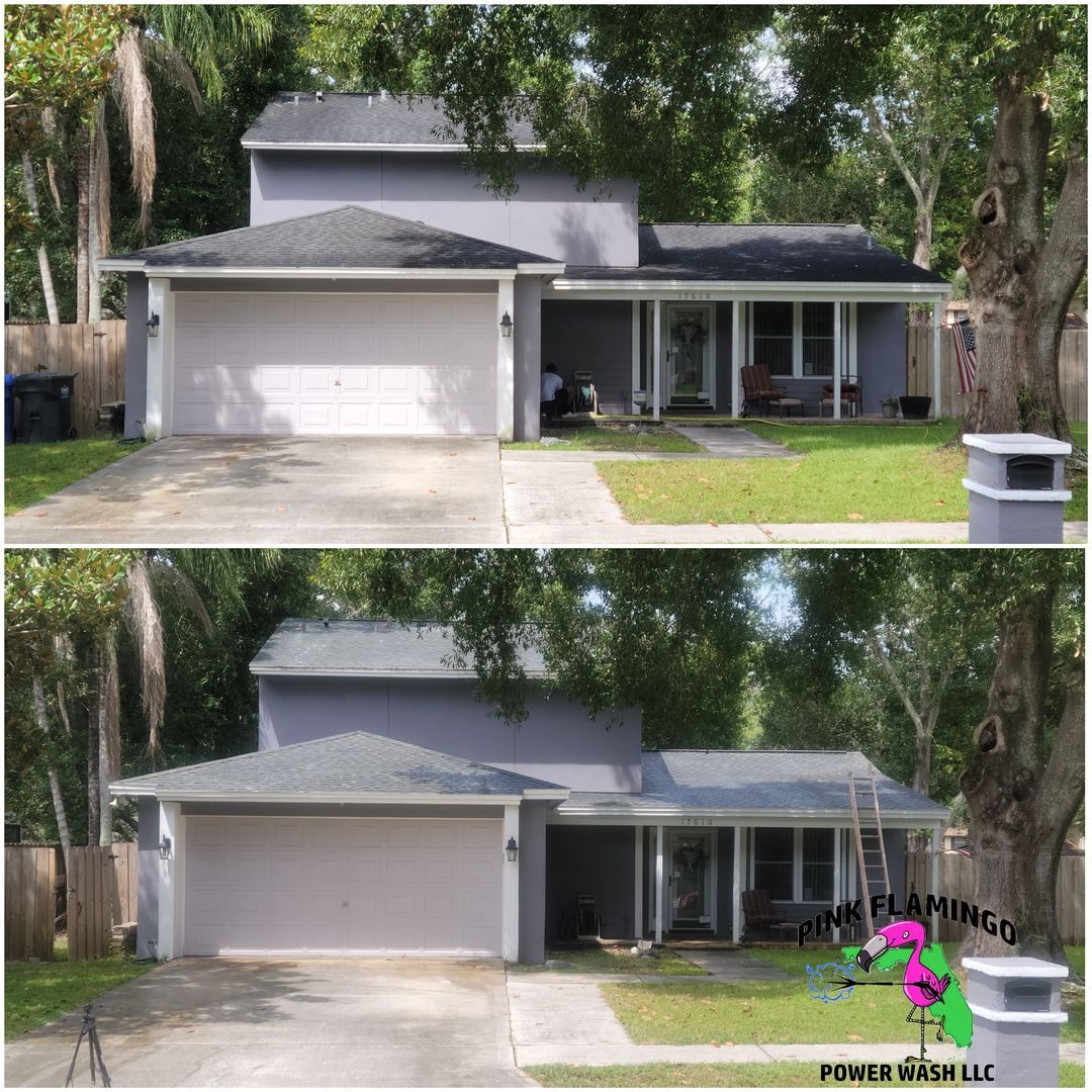 Roof cleaning | Lutz, FL | Pink Flamingo Power Wash