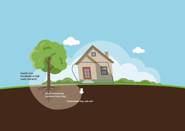Subsidence illustration