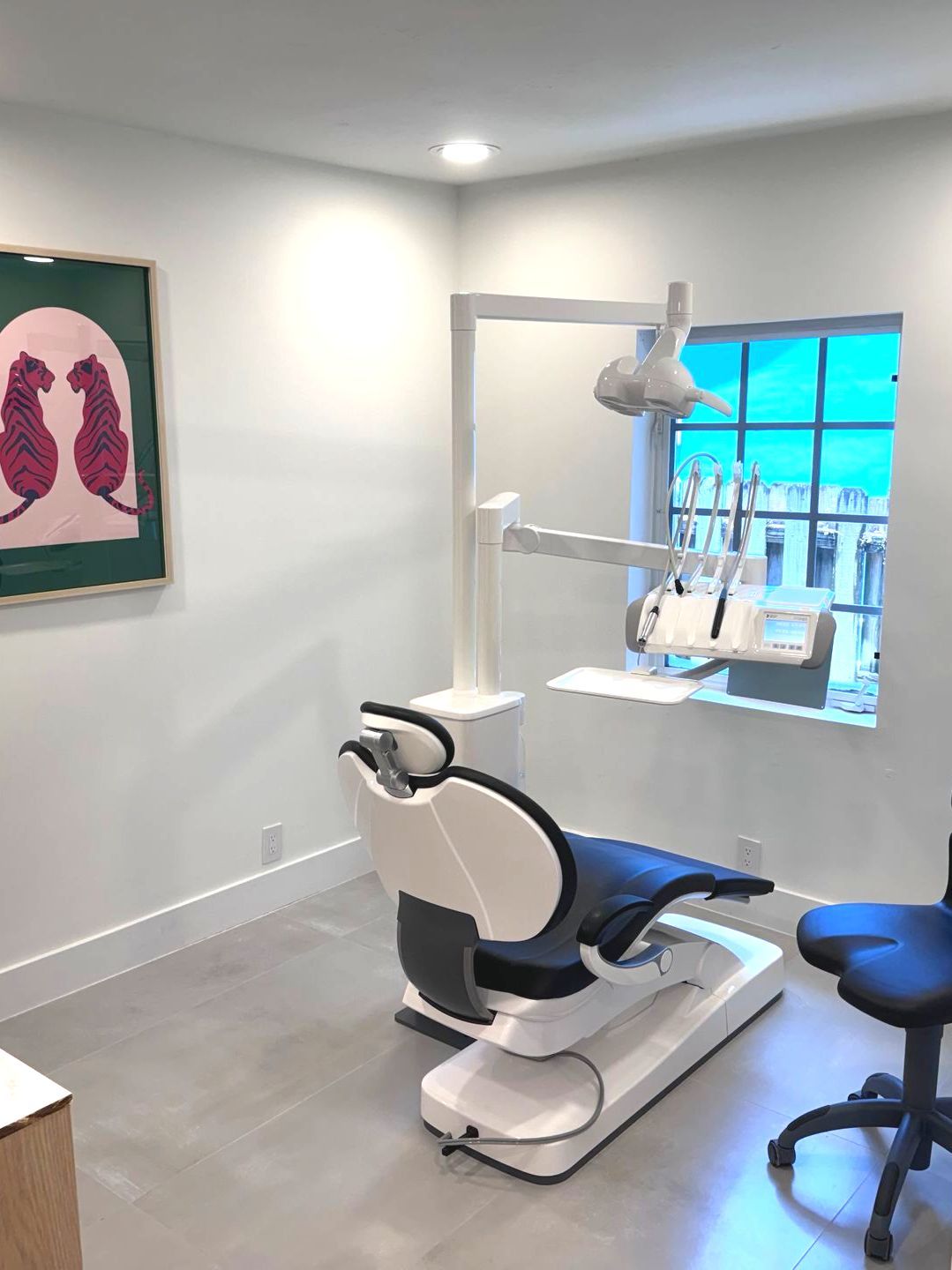 Oasis Perio dental chair