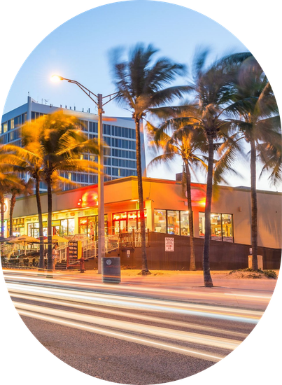 A circle with a building and palm trees in the background