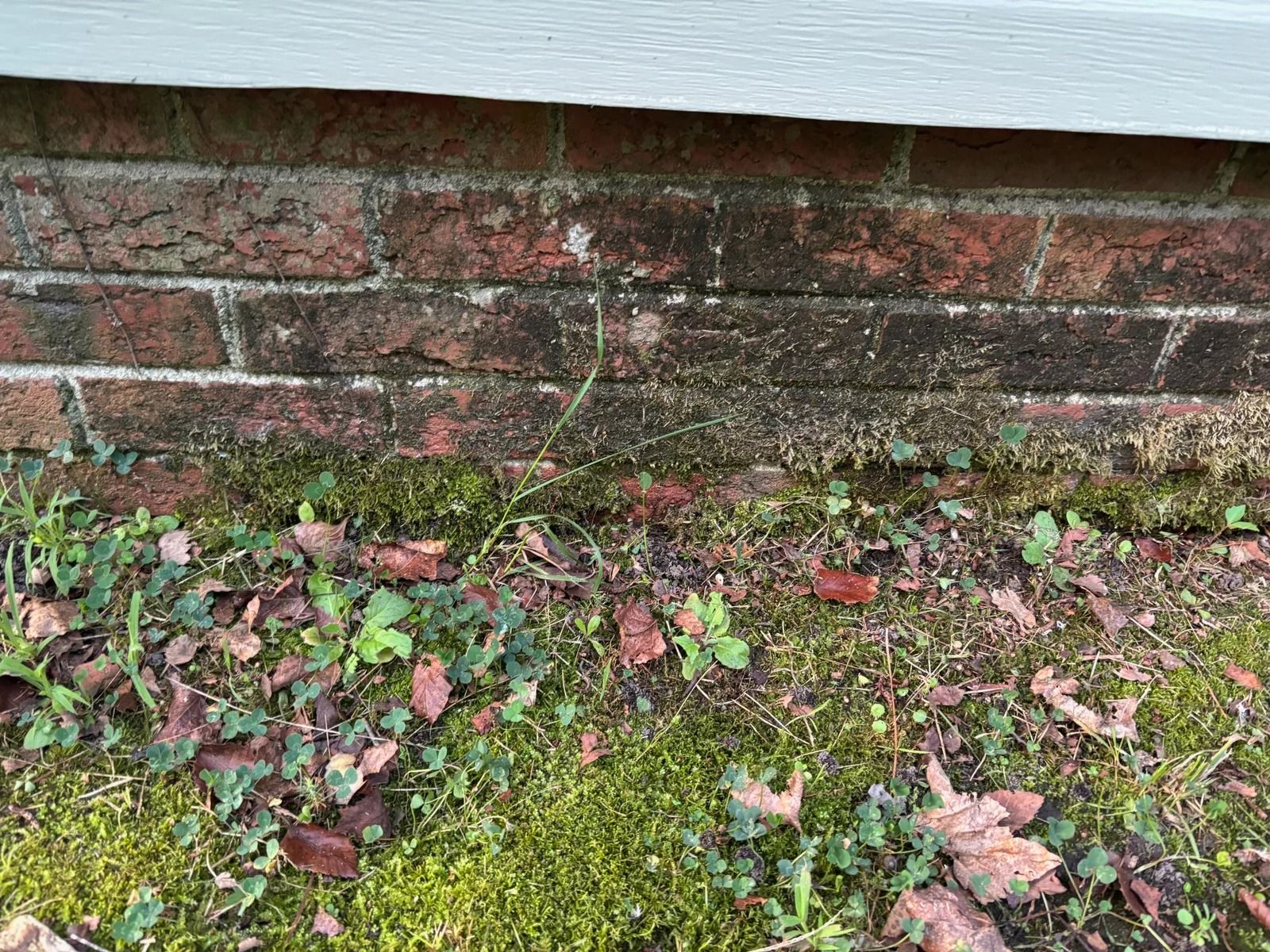 steven-drywall-&-home-repair-why-do-gutters-need-to-be-cleaned