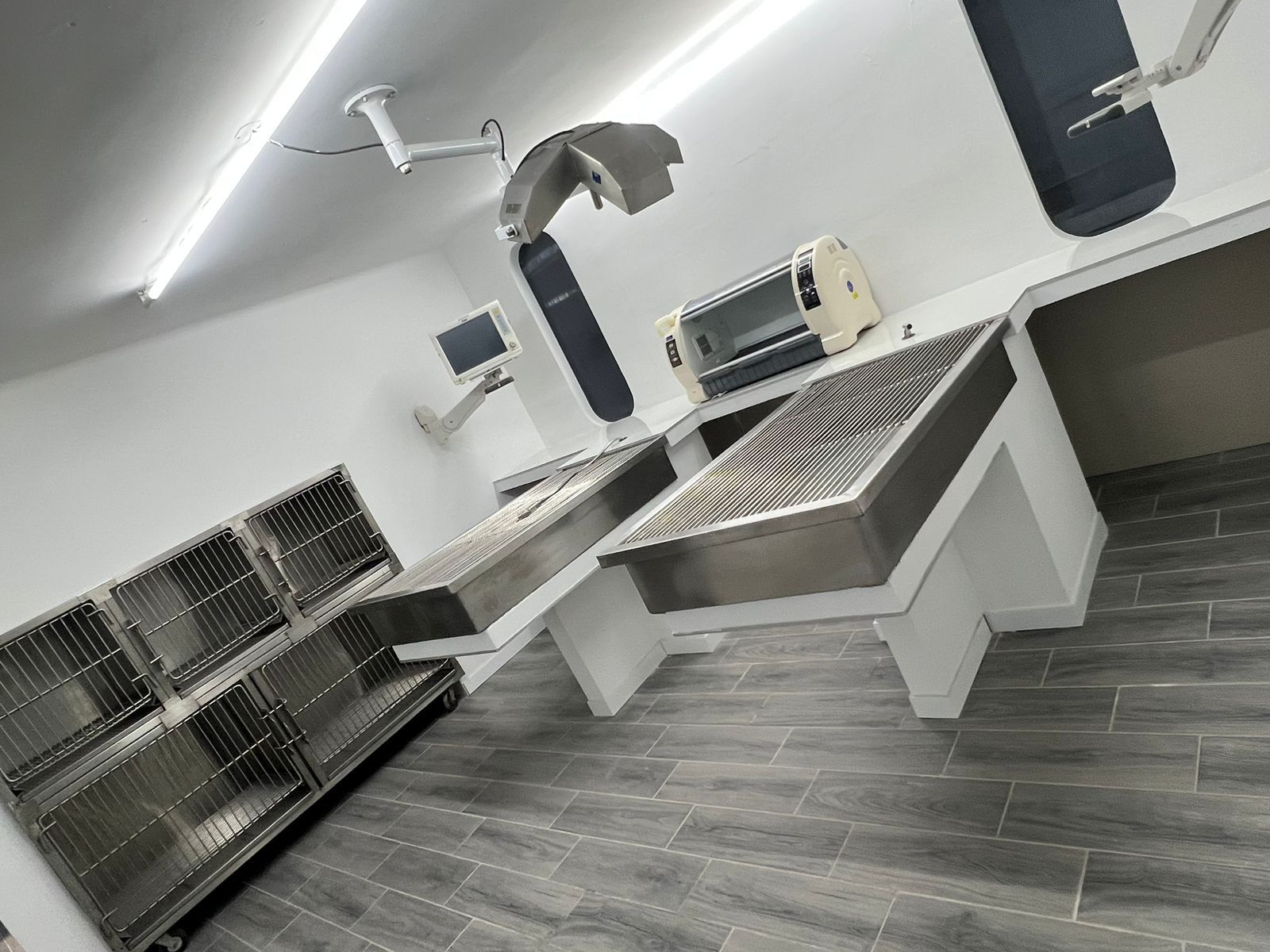 Cirugía de tejidos blandos en veterinaria