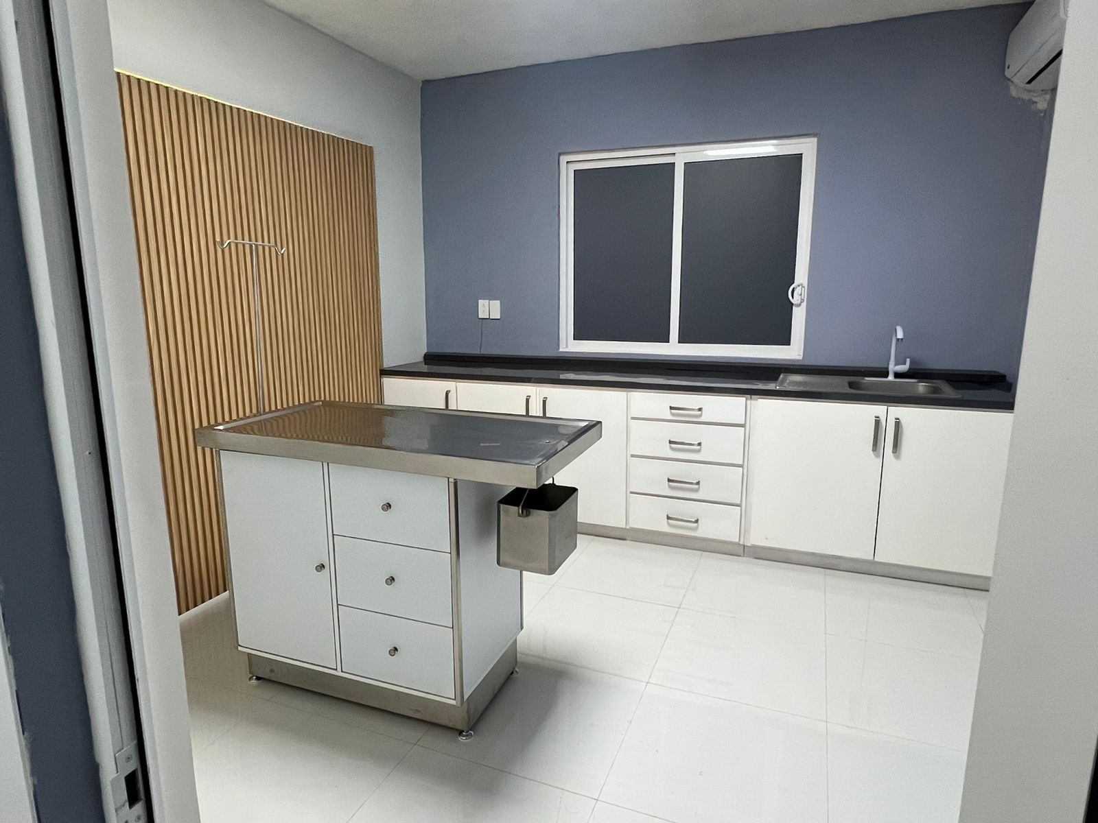 Cirugía de tejidos blandos en veterinaria