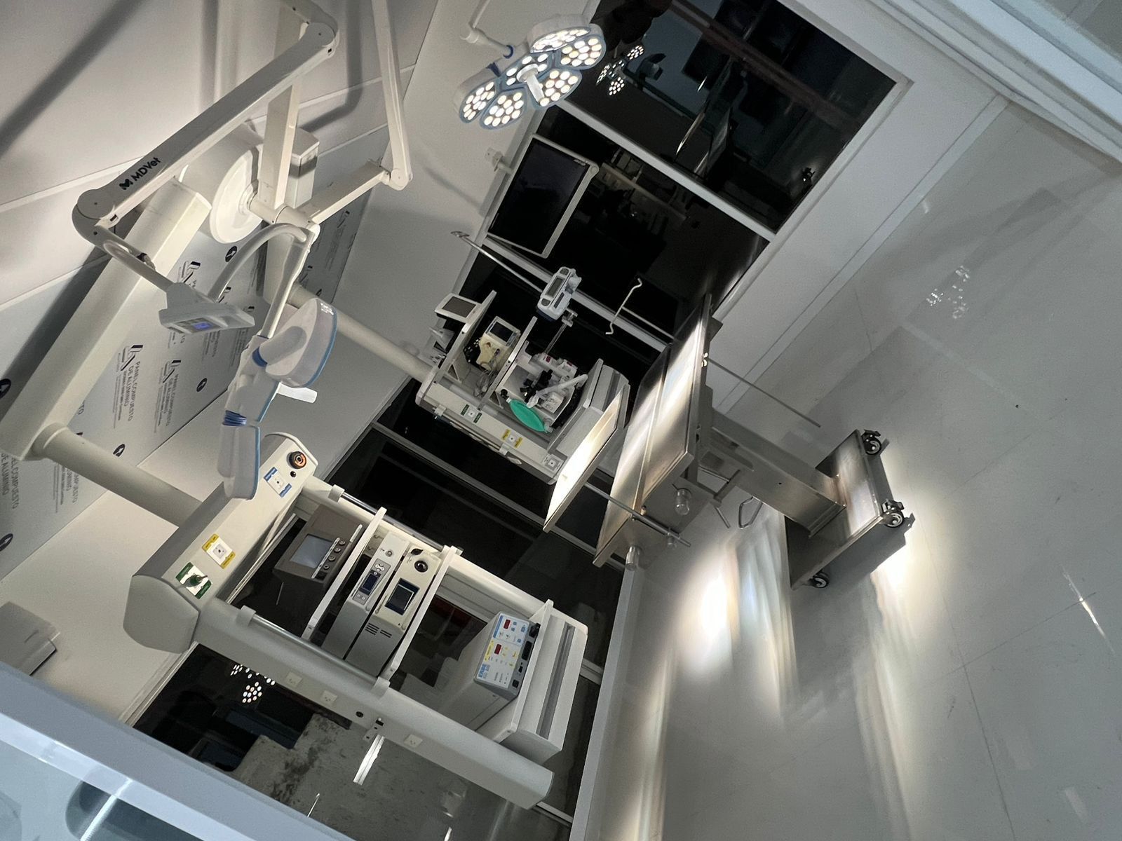 Laboratorio e imagenología veterinaria