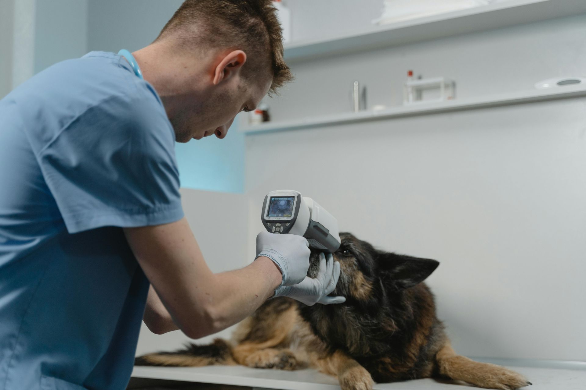 Fachada del hospital veterinario CROVET en La Paz