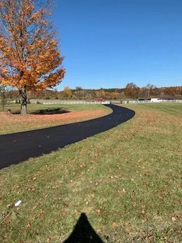 A tree is in the middle of a field next to a road.
