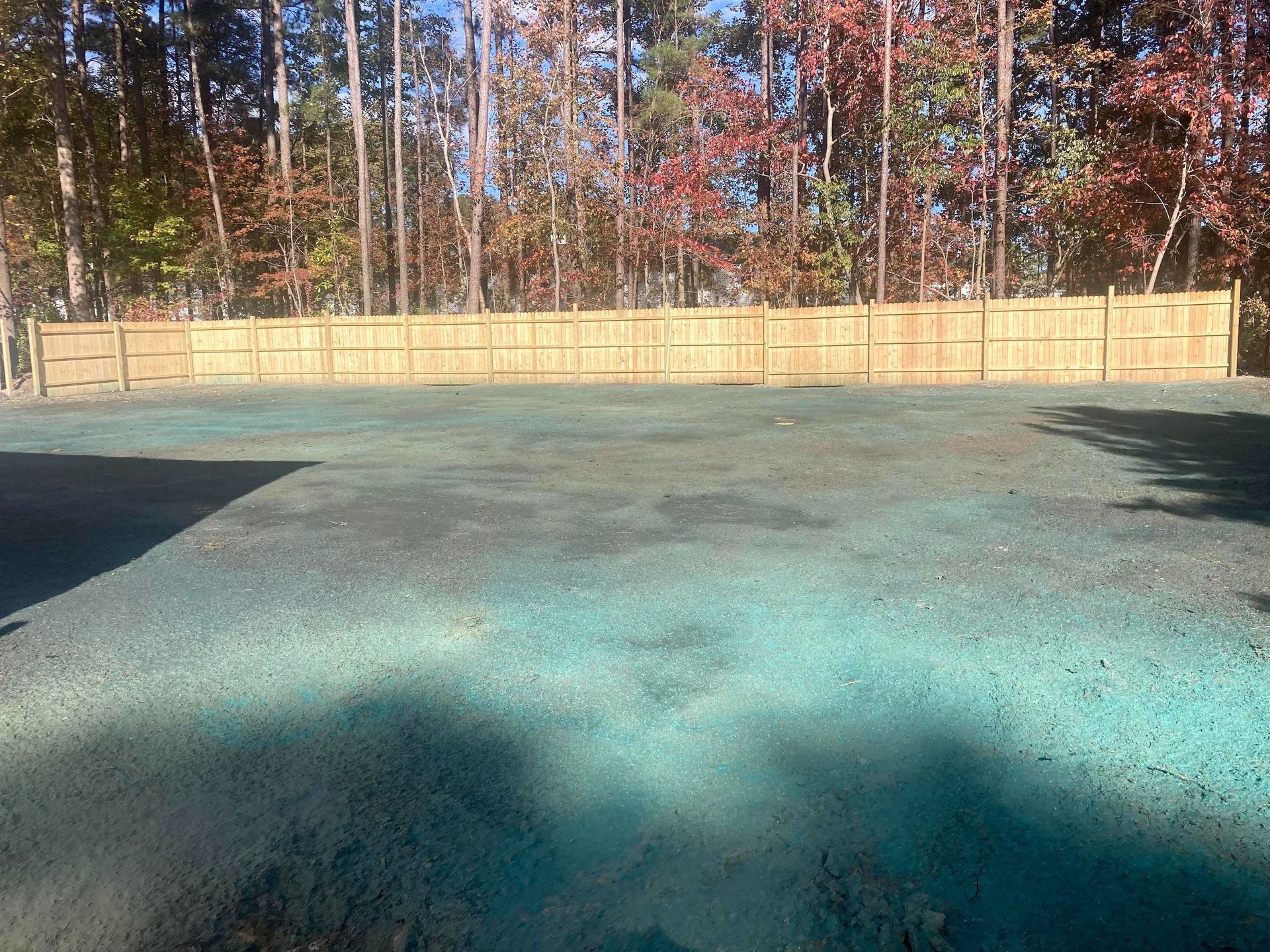 A large, level backyard with light-colored soil covered in green hydroseed, enclosed by a wooden fence against a tree line.