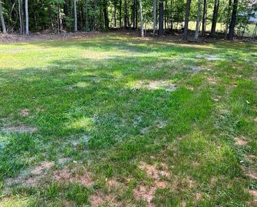 A grassy, partially shaded backyard lawn with patches of dirt leading to a line of trees in the background.
