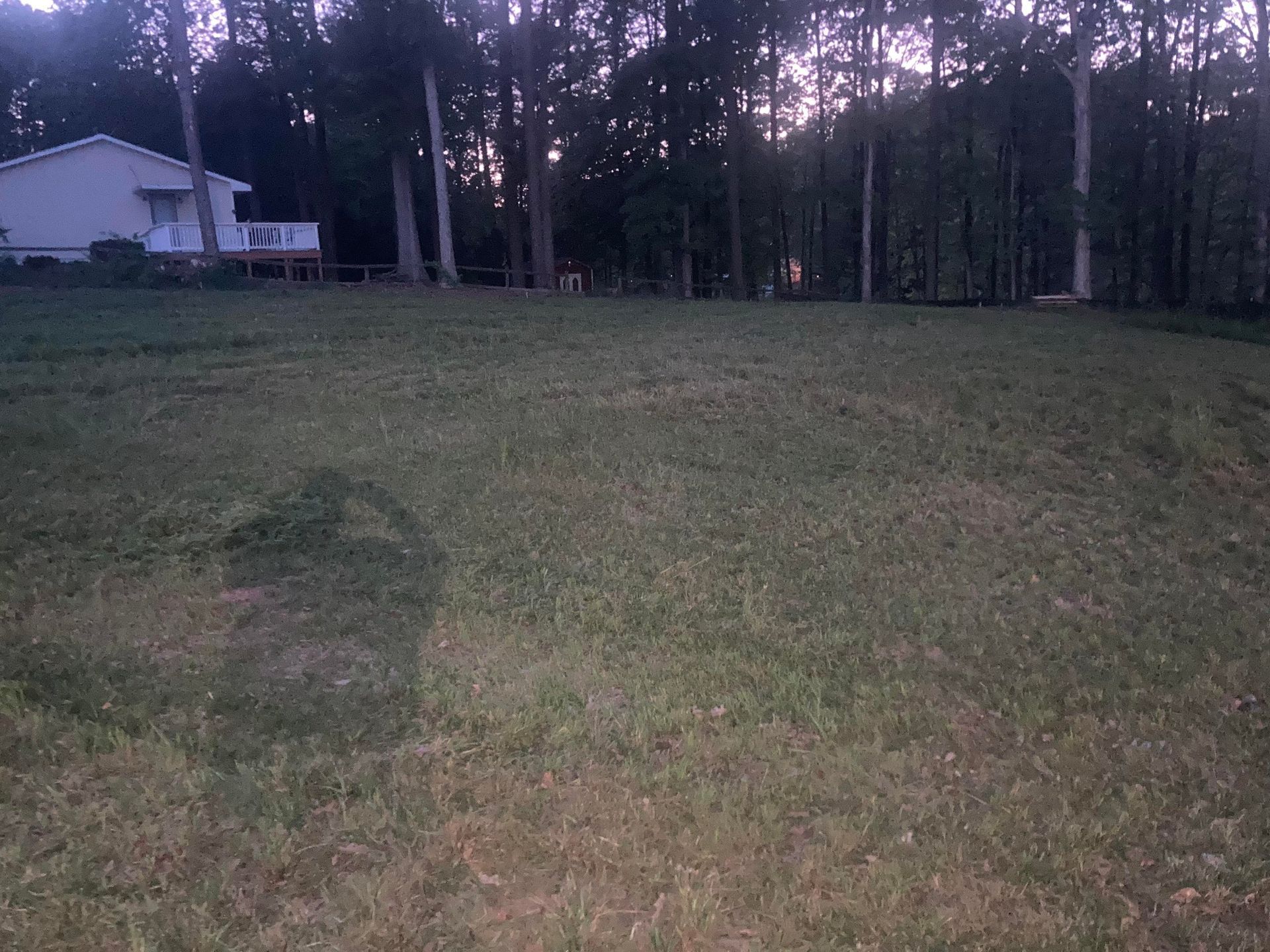 A residential lawn in the foreground, with a white house and a line of tall, dark trees under a twilight sky in the back.