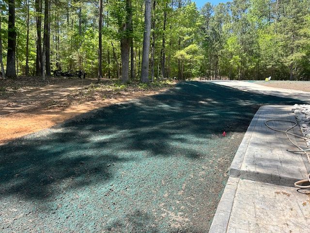 A freshly hydroseeded lawn area with green mulch applied to bare soil, next to a paved stone walkway and a wooded lot.