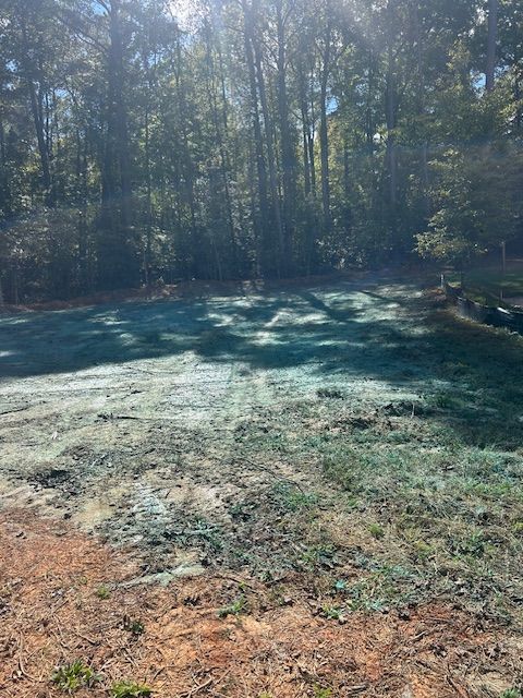 A residential backyard featuring a patch of soil recently treated with blue hydroseed spray, bordering a line of trees.
