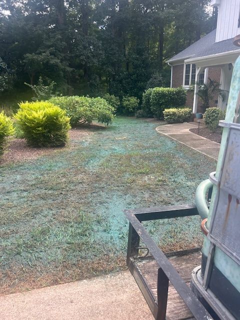 A residential front lawn partially covered in a blue-tinted substance, likely mulch or hydroseed, near a house and trees.