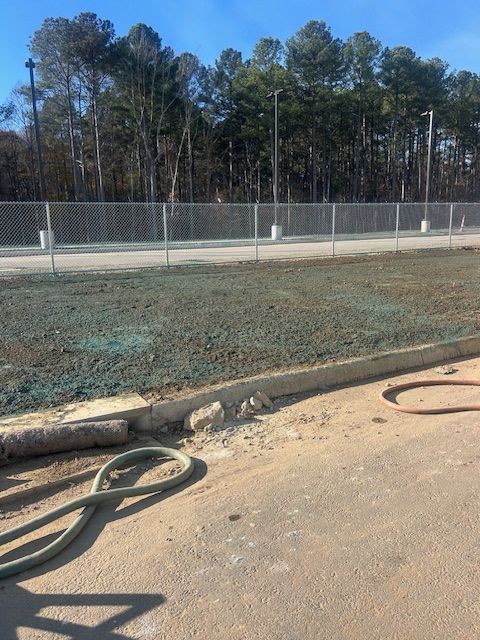 A green-tinted patch of newly seeded dirt sits beside a paved road, separated by a concrete curb and chain-link fence.