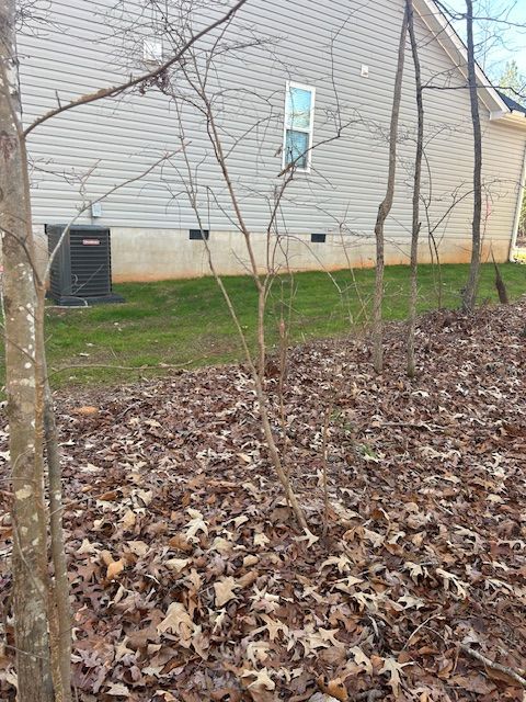 Bare trees and fallen leaves in a residential yard with a tan house and HVAC unit in the background.