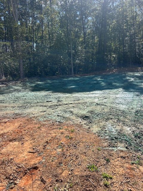 A large area of soil treated with green hydroseed in front of a dense forest.
