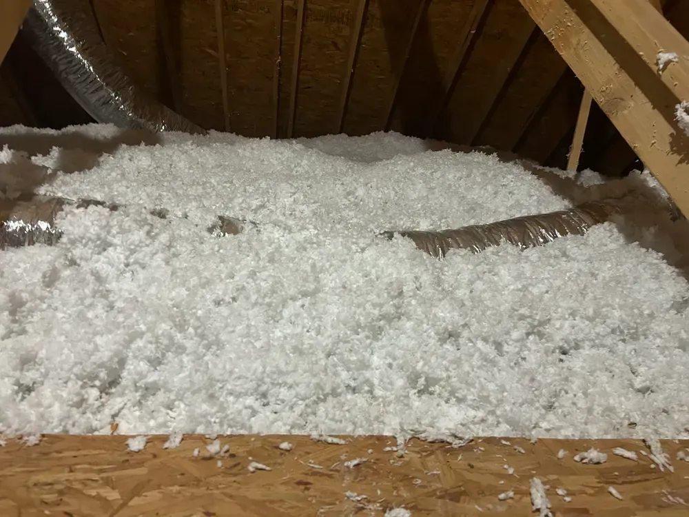 White cellulose insulation fills an attic space between wooden beams.