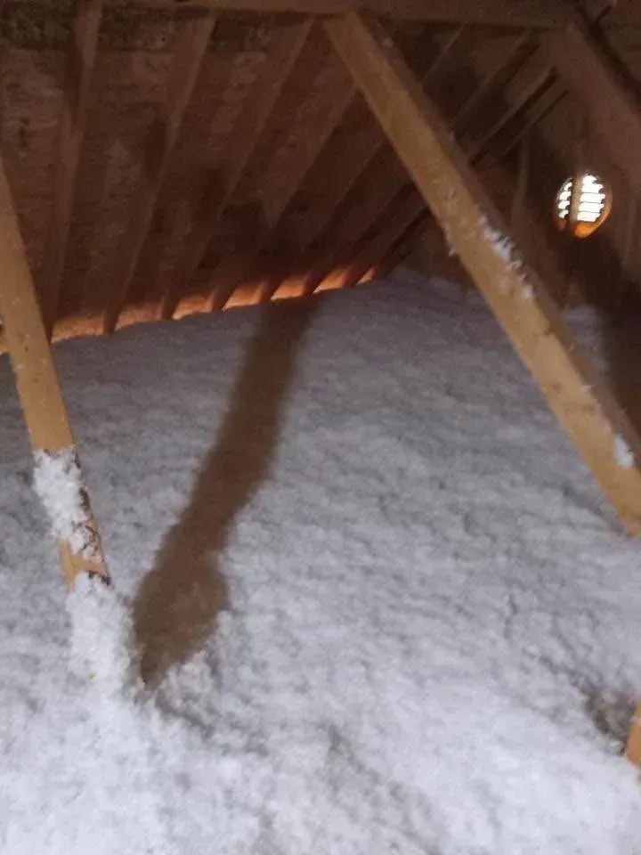 Attic interior with insulation between wooden rafters; shadow falls across the insulation.