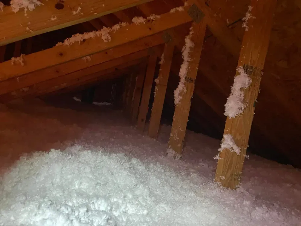 Attic space with white insulation between wooden rafters.