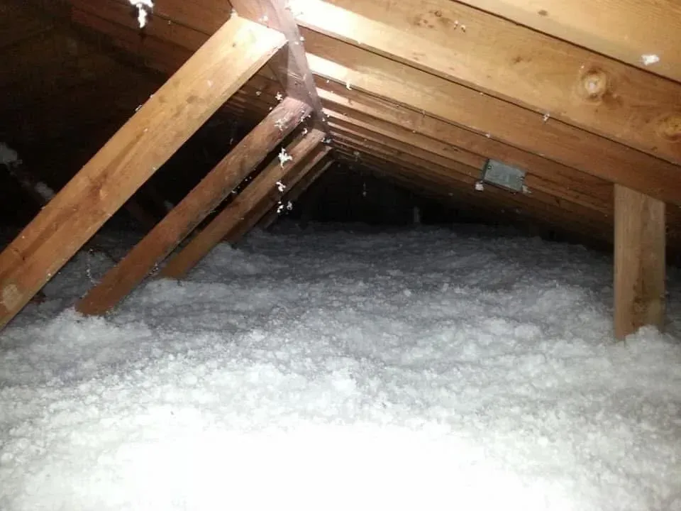 View inside an attic with wooden rafters and white insulation on the floor.