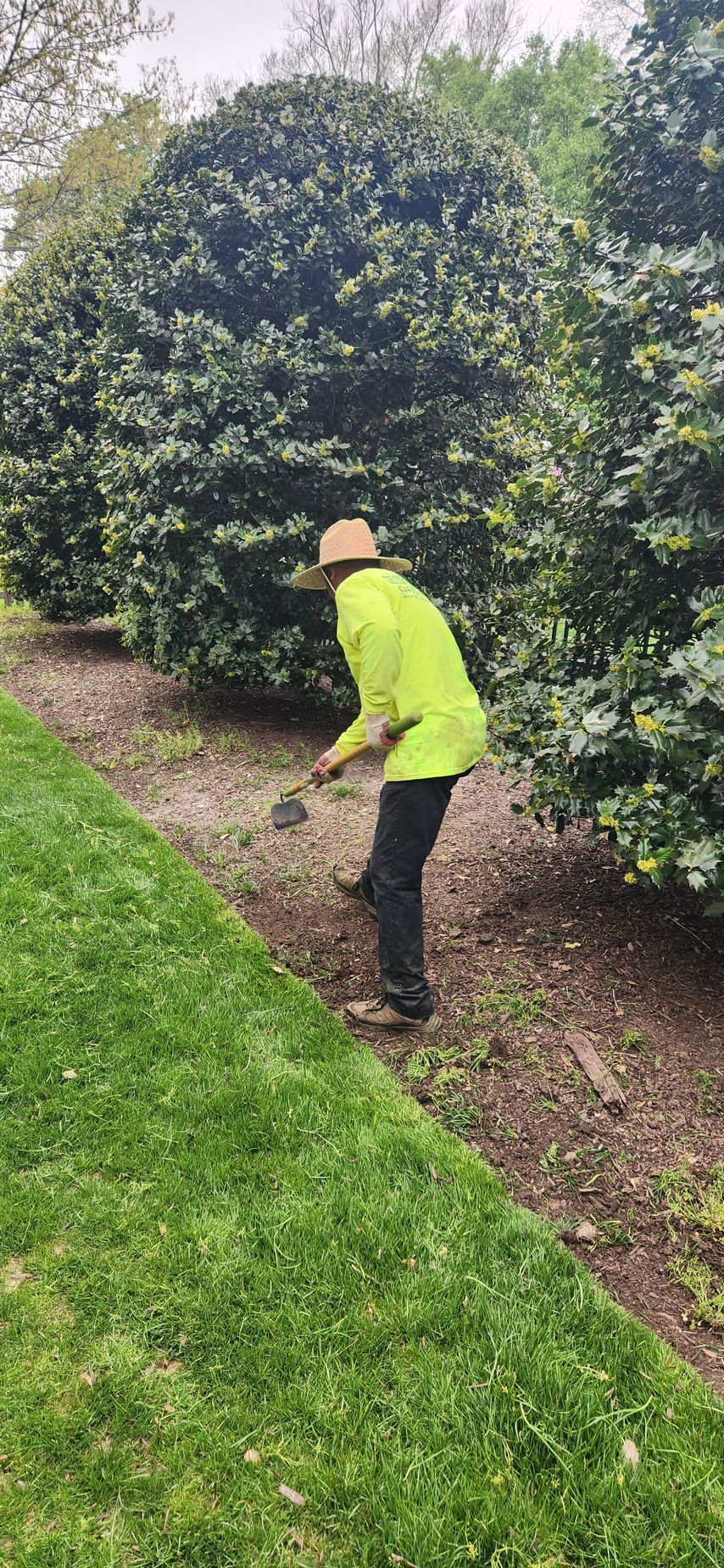 landscape maintenance