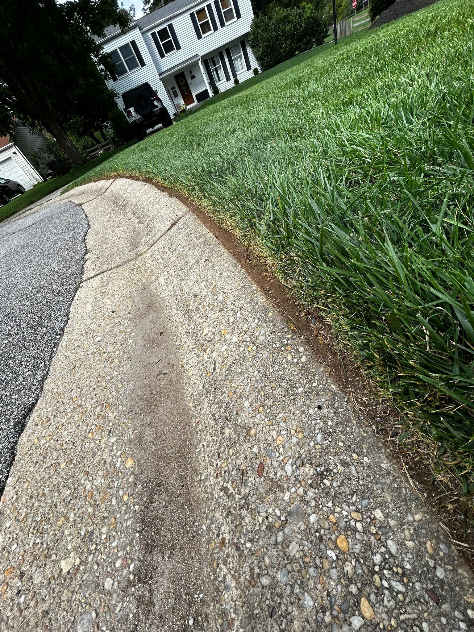 edged curb grass