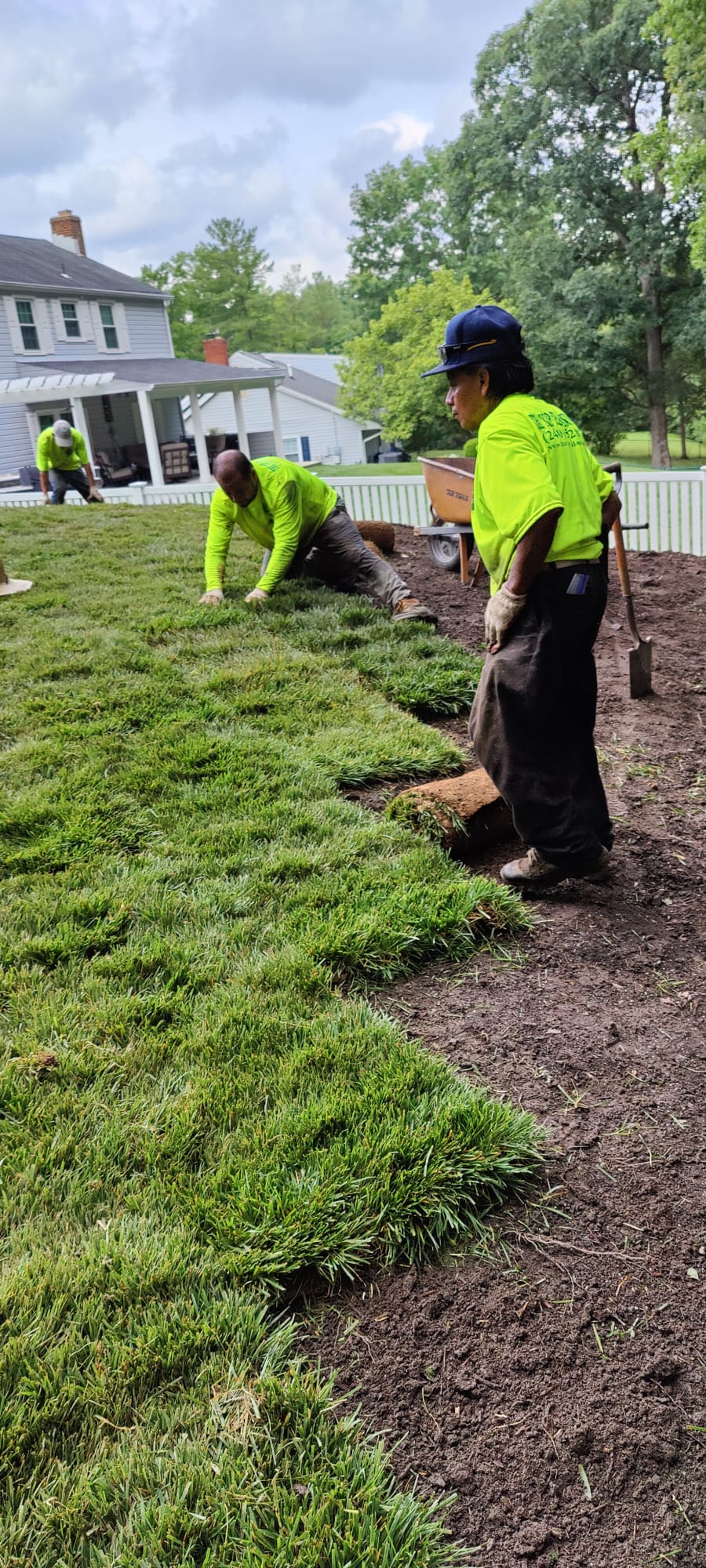 Sod Installation