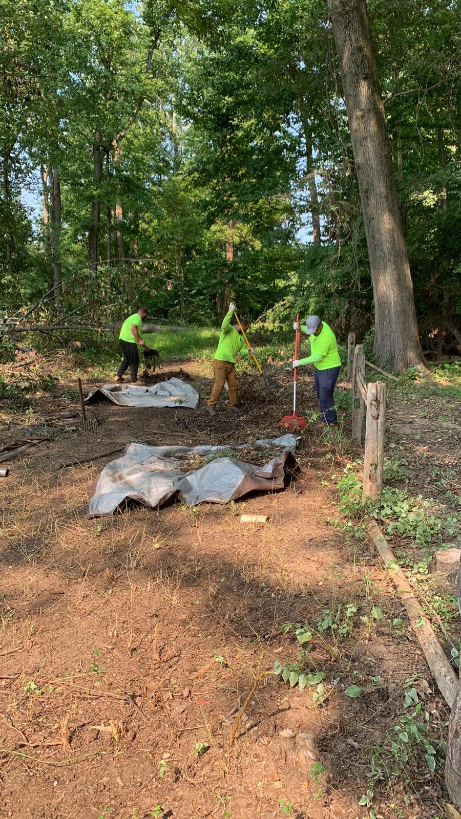 Landscape Maintenance